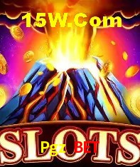Jogos com bônus e suporte 24h na Pgz Bet